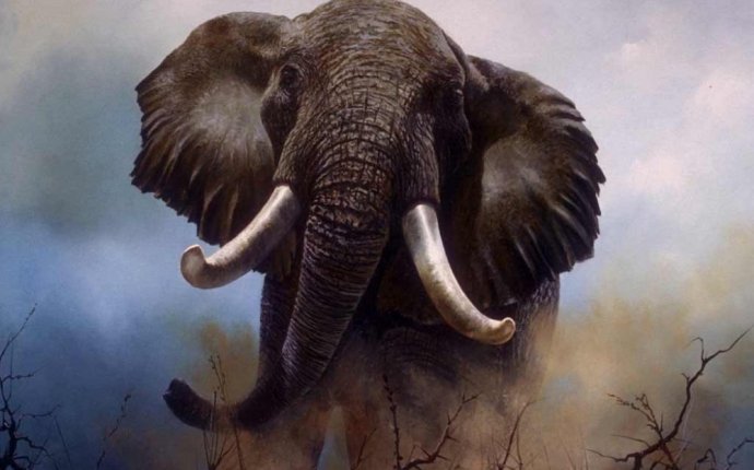 Самый Большой Слон
