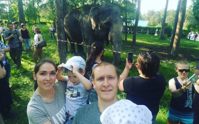 Прогулка Слонов в Челябинске
