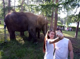 Челябинцы уже делают селфи на фоне слонов в парке Гагарина.
