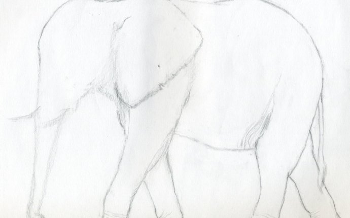Как Нарисовать Слона Карандашом