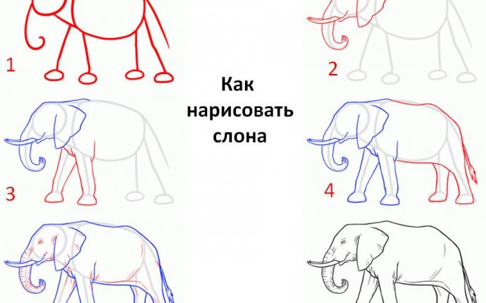 Как Рисовать Слона