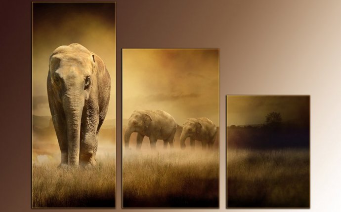 Картины Слонов