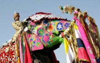 Праздник слонов в Индии