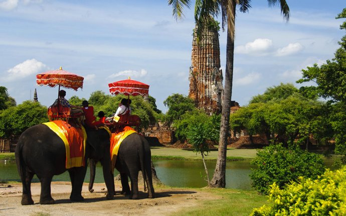 Таиланд Слоны