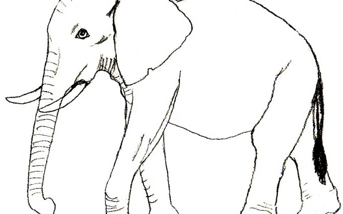 Как Нарисовать Слона Поэтапно