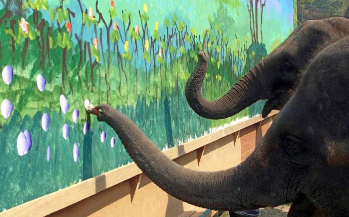 Рисунки Слонов
