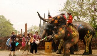 Слон - священное животное и символ Тайланда