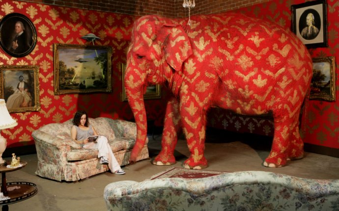Слон в Комнате