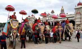 Слоны Майсора на празднике Дуссера, фото thehindu.com